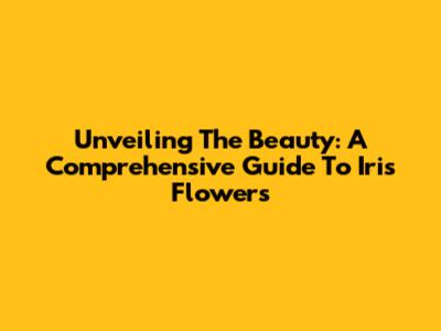 Unveiling The Beauty: A Comprehensive Guide To Iris Flowers