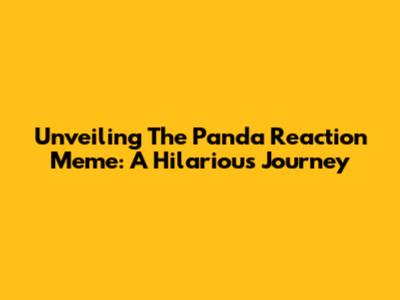 Unveiling The Panda Reaction Meme: A Hilarious Journey