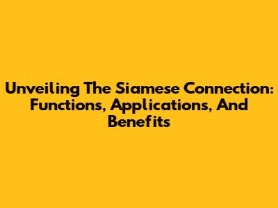 Unveiling The Siamese Connection: Functions, Applications, And Benefits