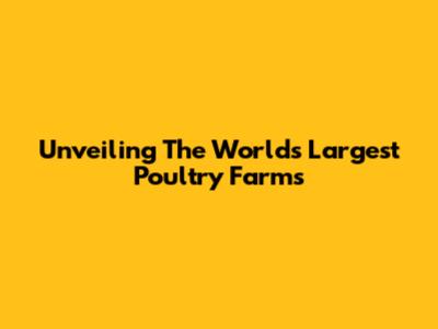 Unveiling The World's Largest Poultry Farms