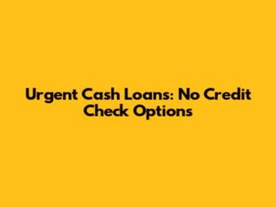 Urgent Cash Loans: No Credit Check Options