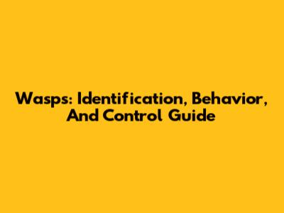 Wasps: Identification, Behavior, And Control Guide