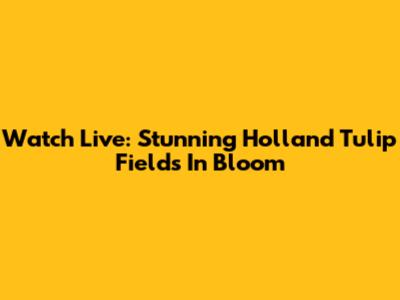 Watch Live: Stunning Holland Tulip Fields In Bloom