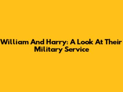 William And Harry: A Look At Their Military Service