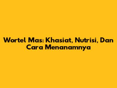 Wortel Mas: Khasiat, Nutrisi, Dan Cara Menanamnya