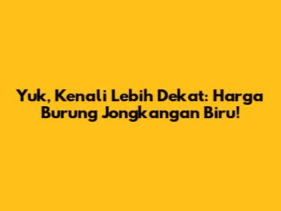Yuk, Kenali Lebih Dekat: Harga Burung Jongkangan Biru!