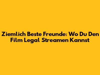 Ziemlich Beste Freunde: Wo Du Den Film Legal Streamen Kannst