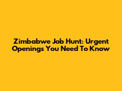 Zimbabwe Job Hunt: Urgent Openings You Need To Know