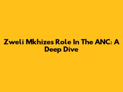 Zweli Mkhize's Role In The ANC: A Deep Dive